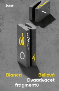 DVAADVACET FRAGMENTŮ