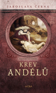 KREV ANDĚLŮ 2 SOUDNÍ VYŠETŘOVATEL BOREK
