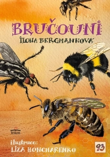 BRUČOUNI