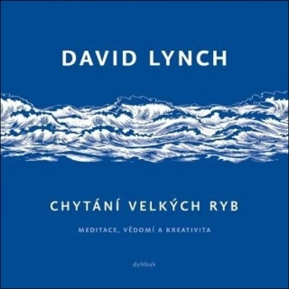 CHYTÁNÍ VELKÝCH RYB