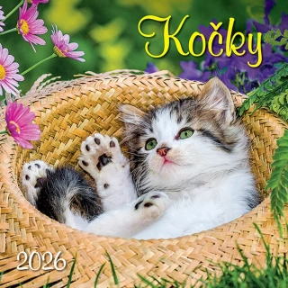 KALENDÁŘ 2026 KOČKY, NÁSTĚNNÝ