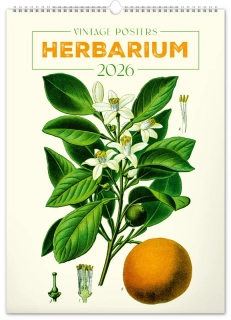 KALENDÁŘ 2026 NÁST: VINTAGE PLAKÁTY HERBARIUM