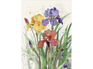 PŘÁNÍ B060 MIXED IRISES