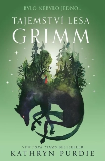 TAJEMSTVÍ LESA GRIMM - BYLO NEBYLO JEDNO...