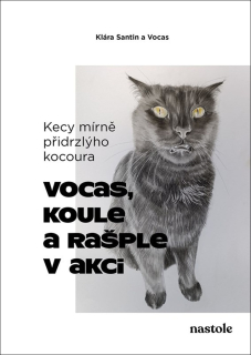 KECY MÍRNĚ PŘIDRZLÝHO KOCOURA
