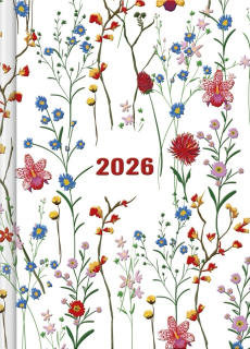 PRAKTIK DENNÍ DIÁŘ 2026 LOUKA