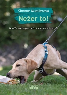 NEŽER TO! NAUČTE SVÉHO PSA NEŽRAT VŠE, CO KDE NAJDE