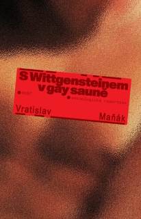 S WITTGENSTEINEM V GAY SAUNĚ