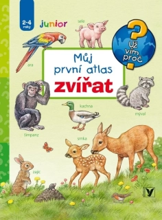 MŮJ PRVNÍ ATLAS ZVÍŘAT UŽ VÍM PROČ
