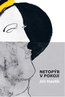 NETOPÝR V POKOJI