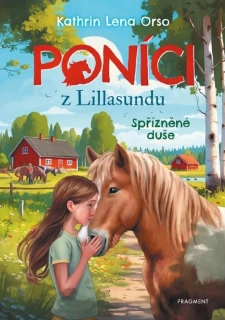 PONÍCI Z LILLASUNDU 1 SPŘÍZNĚNÉ DUŠE