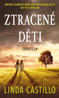 ZTRACENÉ DĚTI 4 KATE BURKHOLDER