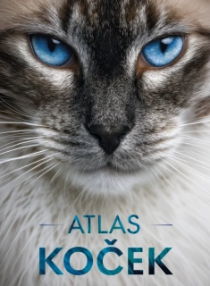 ATLAS KOČEK