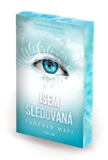 JSEM SLEDOVANÁ 4 JSEM ROZTŘÍŠTĚNÁ