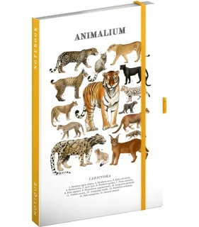 NOTES ANIMALIUM/KOČKOVITÉ ŠELMY, LINKOVANÝ, 13 X 21 CM