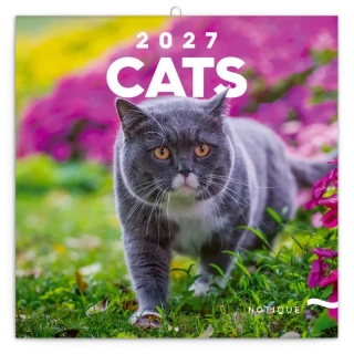 KALENDÁŘ 2027 POZNÁMKOVÝ: KOČKY