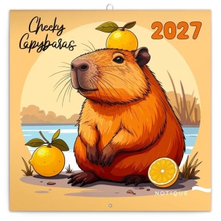 KALENDÁŘ 2027 POZN: ROZVERNÉ KAPYBARY, 30 X 30 CM