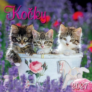 KALENDÁŘ 2027 NÁSTĚNNÝ KOČKY