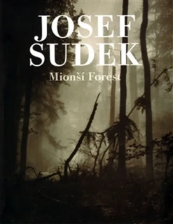 MIONŠÍ FOREST