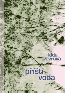 PŘÍŠTÍ VODA