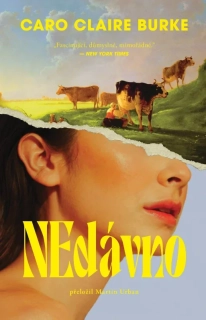 NEDÁVNO