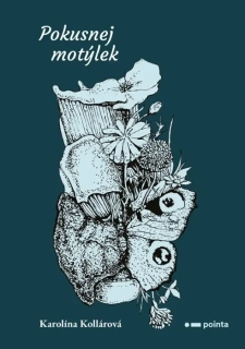 POKUSNEJ MOTÝLEK