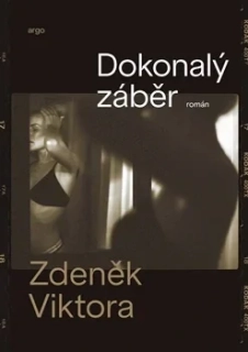 DOKONALÝ ZÁBĚR