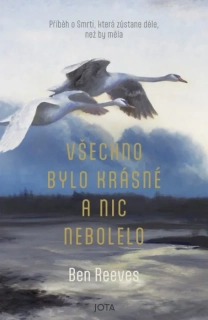 VŠECHNO BYLO KRÁSNÉ A NIC NEBOLELO