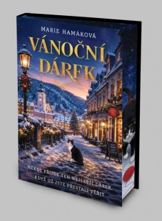 VÁNOČNÍ DÁREK