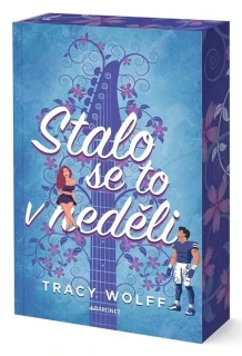 STALO SE TO V NEDĚLI