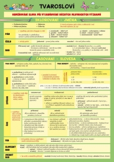 ČESKÝ JAZYK – TVAROSLOVÍ