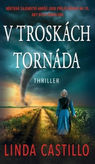 V TROSKÁCH TORNÁDA 7 PAINTERS MILL