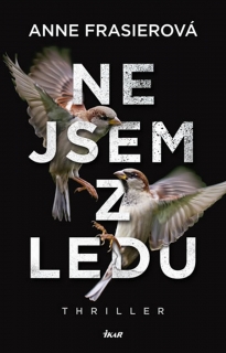 NEJSEM Z LEDU