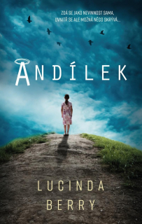 ANDÍLEK - 30% SLEVA POŠKOZENÁ