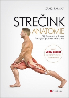 STREČINK-ANATOMIE