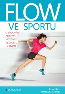 FLOW VE SPORTU