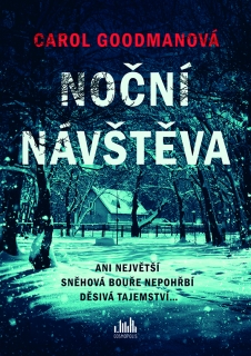 NOČNÍ NÁVŠTĚVA