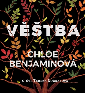 CD VĚŠTBA-2CD MP3   ČTE TEREZA DOČEKALOVÁ
