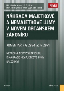 NÁHRADA MAJETKOVÉ A NEMAJETKOVÉ ÚJMY V NOV.OBČ.ZÁKONÍKU
