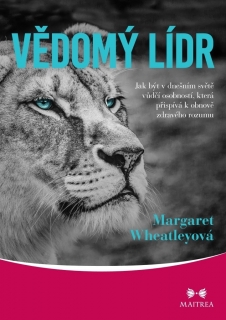 VĚDOMÝ LÍDR - JAK BÝT V DNEŠNÍM SVĚTĚ VŮ