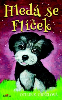 HLEDÁ SE FLÍČEK