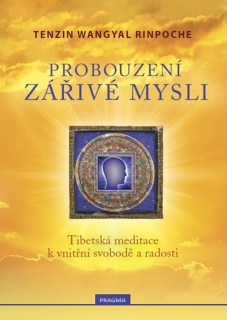 PROBOUZENÍ ZÁŘIVÉ MYSLI + CD