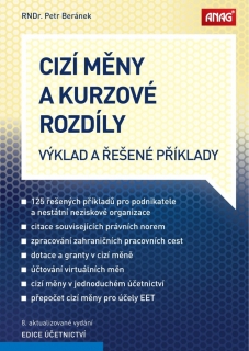 CIZÍ MĚNY A KURZOVÉ ROZDÍLY VÝKLAD A ŘEŠENÉ PŘÍKLADY