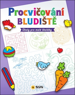 PROCVIČOVÁNÍ - BLUDIŠTĚ