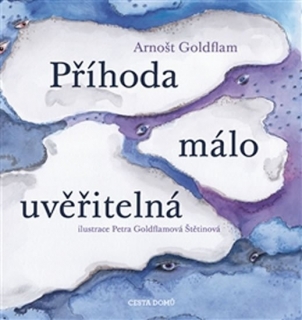PŘÍHODA MÁLO UVĚŘITELNÁ