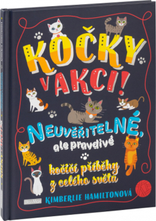KOČKY V AKCI!