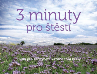 3 MINUTY PRO ŠTĚSTÍ - KNIHA PRO ZACHYCENÍ KAŽDODENNÍ KRÁSY
