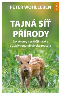 TAJNÁ SÍŤ PŘÍRODY - JAK STROMY VYRÁBĚJÍ