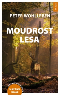 MOUDROST LESA
