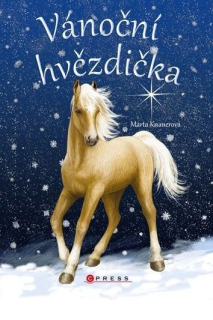 VÁNOČNÍ HVĚZDIČKA